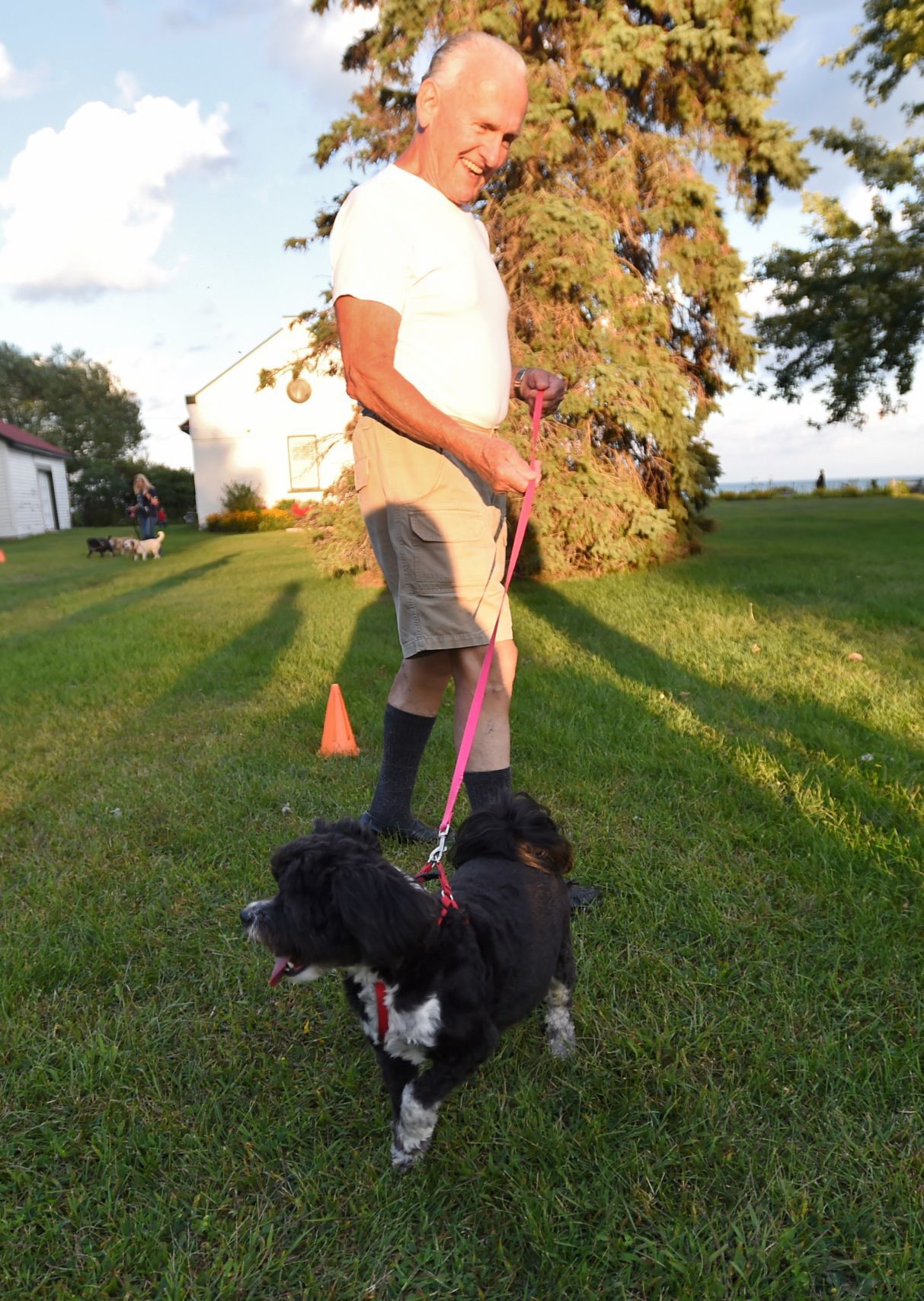 Pets on Parade
